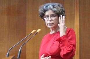 La diputada no descarta que la Constitución requiera una revisión