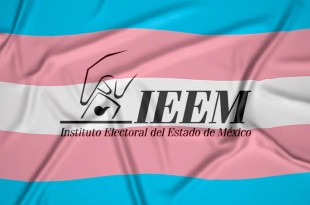 Se dispondrá de materiales informativos en todas las casillas, como trípticos y carteles.