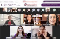 Integrantes del OPPMEM realizaron su Séptima Sesión Ordinaria, donde propusieron la creación de un grupo de trabajo para fortalecer la democracia paritaria.