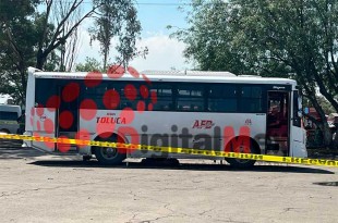 El autobús involucrado pertenece a la línea Flecha Blanca.
