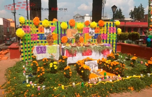 Trocitos de vida para recordar a los muertos