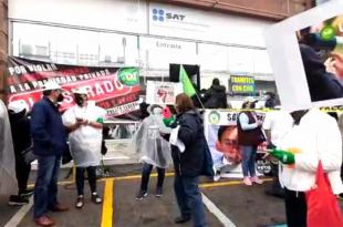 Se trata de exempleados de enfermería, doctores, administrativos del IMSS