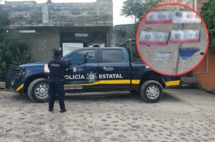 Elementos de la SSEM resguardan el predio en Chalco donde fueron localizados vehículos robados, autopartes y placas con reporte vigente.