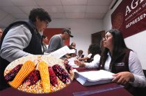 Productores de maíz del Estado de México podrán recibir un apoyo adicional de 300 pesos por tonelada, lo que elevará el ingreso total hasta 7 mil 500 pesos por tonelada.