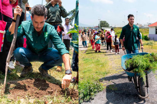 La meta es plantar 30 mil árboles en la región y 750 mil en Edoméx, como parte del compromiso “Un voto, un árbol”.