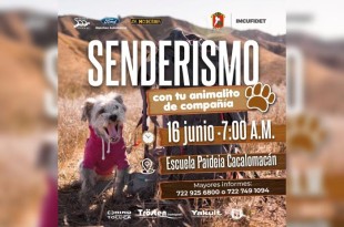 Se recomienda a los participantes usar calzado adecuado para caminata ligera