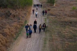 En Arizona y Texas se encontró el 93% de los cadáveres.