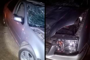 Jonathan “N” de 18 años embistió una res color negro que se encontraba sobre la carretera Tejupilco–Luvianos.