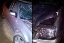Jonathan “N” de 18 años embistió una res color negro que se encontraba sobre la carretera Tejupilco–Luvianos.