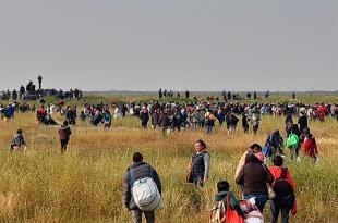 Alrededor de 2 mil familias invadieron predios federales de la Conagua en el vaso del Lago de Texcoco.