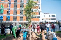 Aportarán sombra, captura de carbono y servicios ambientales, además de mayor resistencia a sequías y vientos.