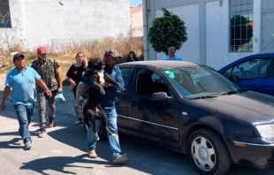Inicia redada contra Perros "asesinos" en Tecámac