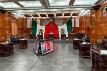 Otros poderes y organismos tendrían autoridades garantes propias para resolver controversias