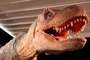 Los dinosaurios serán exhibidos en el Centro Cultural Toluca