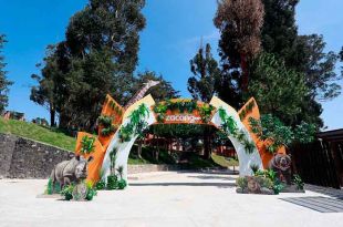 El Parque Ecológico Zacango alberga 672 especies y mil 400 animales.