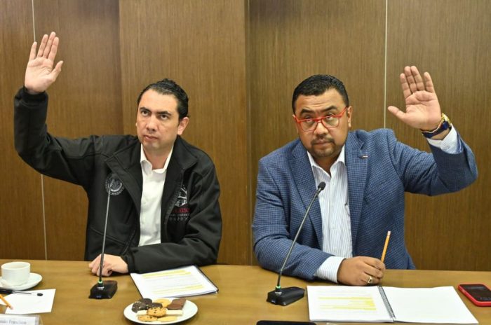 Legisladores mexiquenses revisaron conflictos limítrofes y procesos de municipalización.