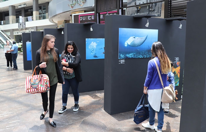 Llega la exposición "Azul" a Huixquilucan