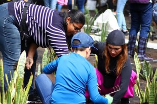 Las jornadas se realizarán en distintas localidades como Bosques de La Herradura, La Herradura, Lomas de la Herradura y Zacamulpa, entre otras.
