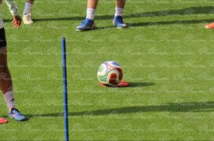 Aficionados y actividad comercial podrían impulsar la economía del Valle de Toluca durante el Mundial 2026.