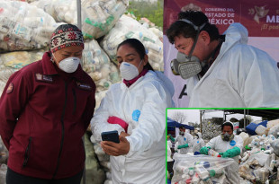 En Villa Guerrero, los envases recolectados corresponden a productos usados en el cultivo de flor.