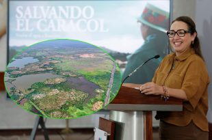 La alcaldesa Azucena Cisneros informó en conferencia de prensa los avances del proyecto de recuperación ambiental de El Caracol, que contempla el rescate de 800 hectáreas del ex Lago de Texcoco.